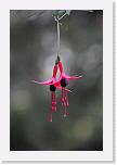 001w (103b) * UNICODE * 1848 x 2784 * (2.18MB)